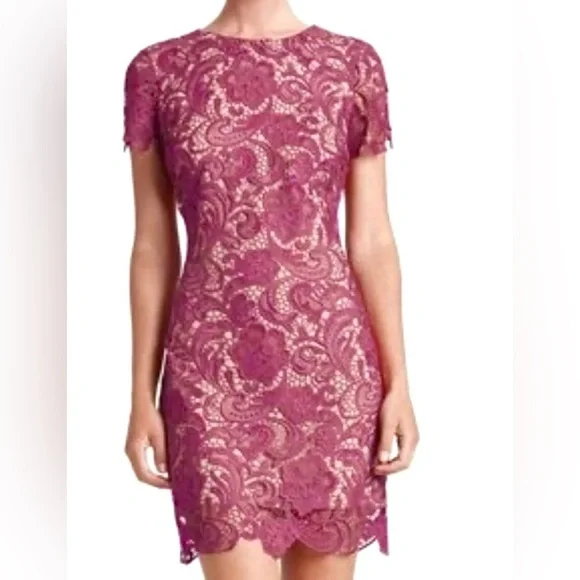 Dress The Population Anna mulberry & nude lace dress size S Cocktail Evening - Picture 9 of 9